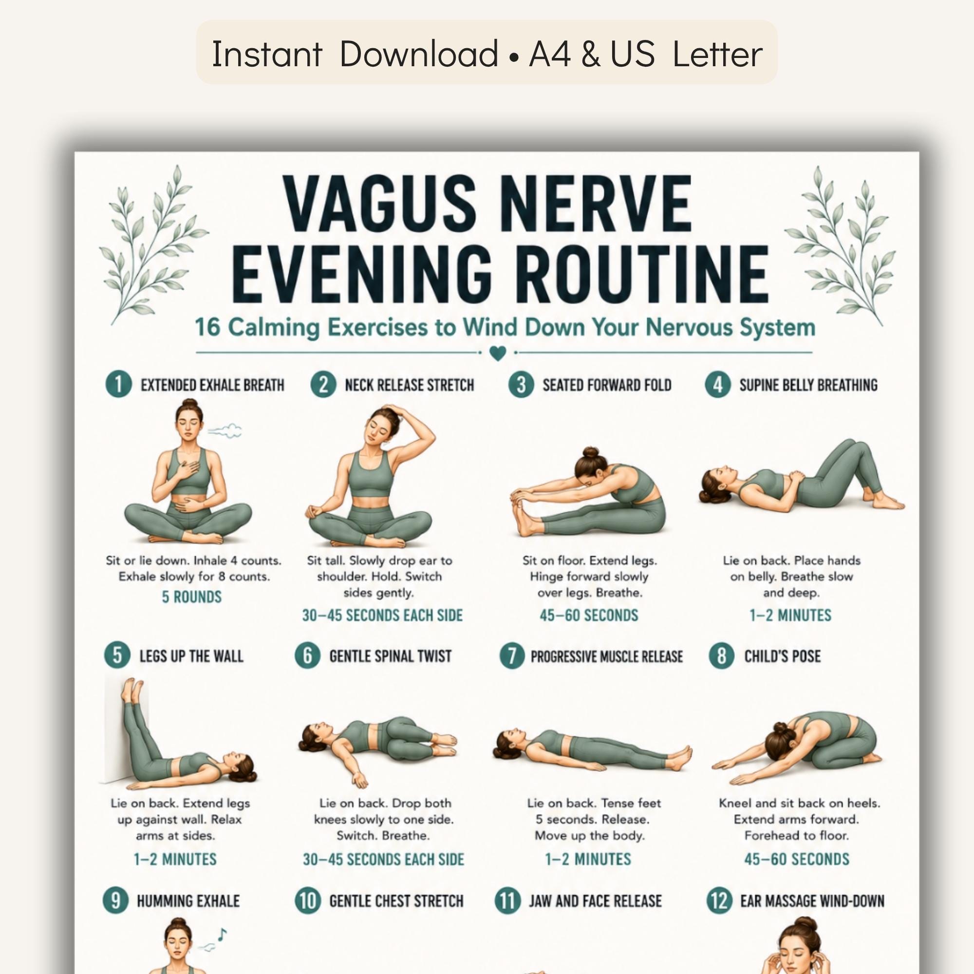 Relaxation Exercise Chart Vagus Nerve Evening Routine Printable PDF | 16 Calming Exercises to ...