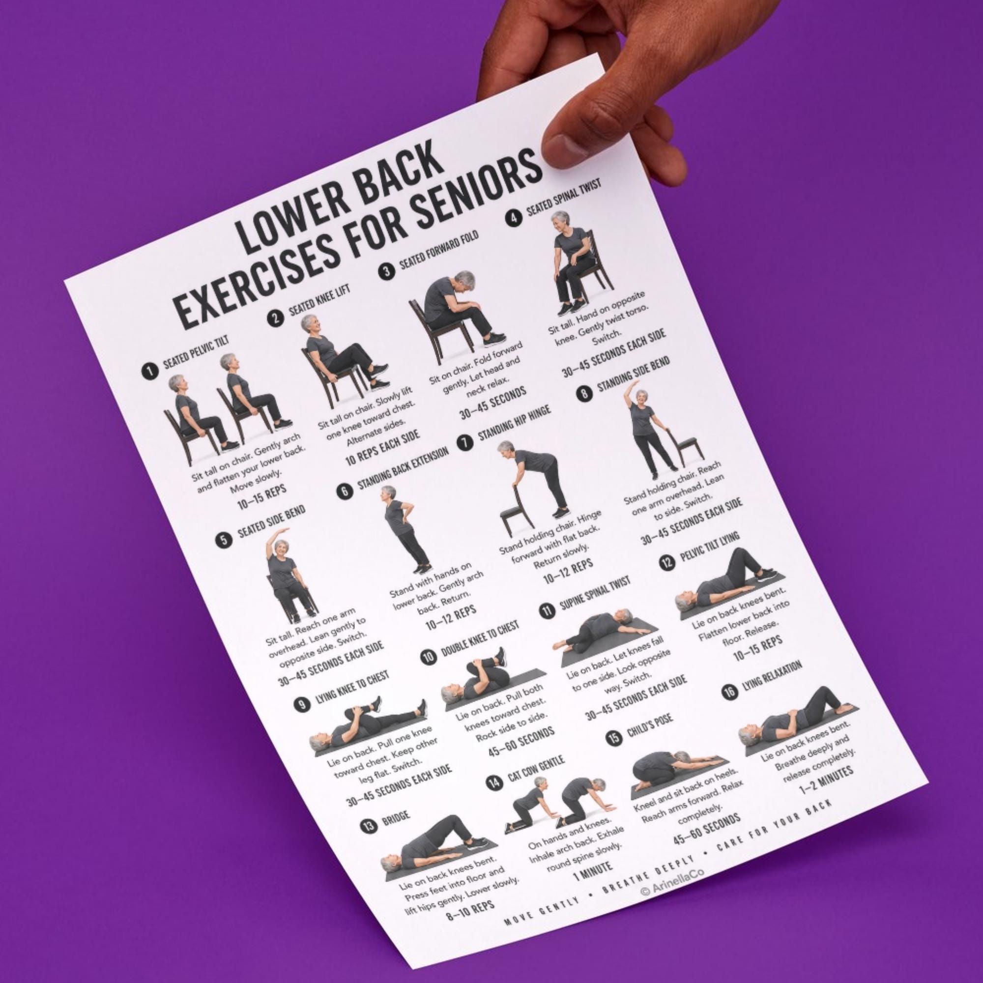 Lower Back Exercises for Seniors Printable Chart, 16 Gentle Movements ...