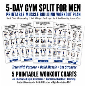 May include: A 5-day gym split workout plan featuring five printable charts with 45 illustrated exercises for muscle growth and strength. The text includes titles for each day, such as Chest & Triceps, Back & Biceps, Legs, Shoulders, and Arms & Core.