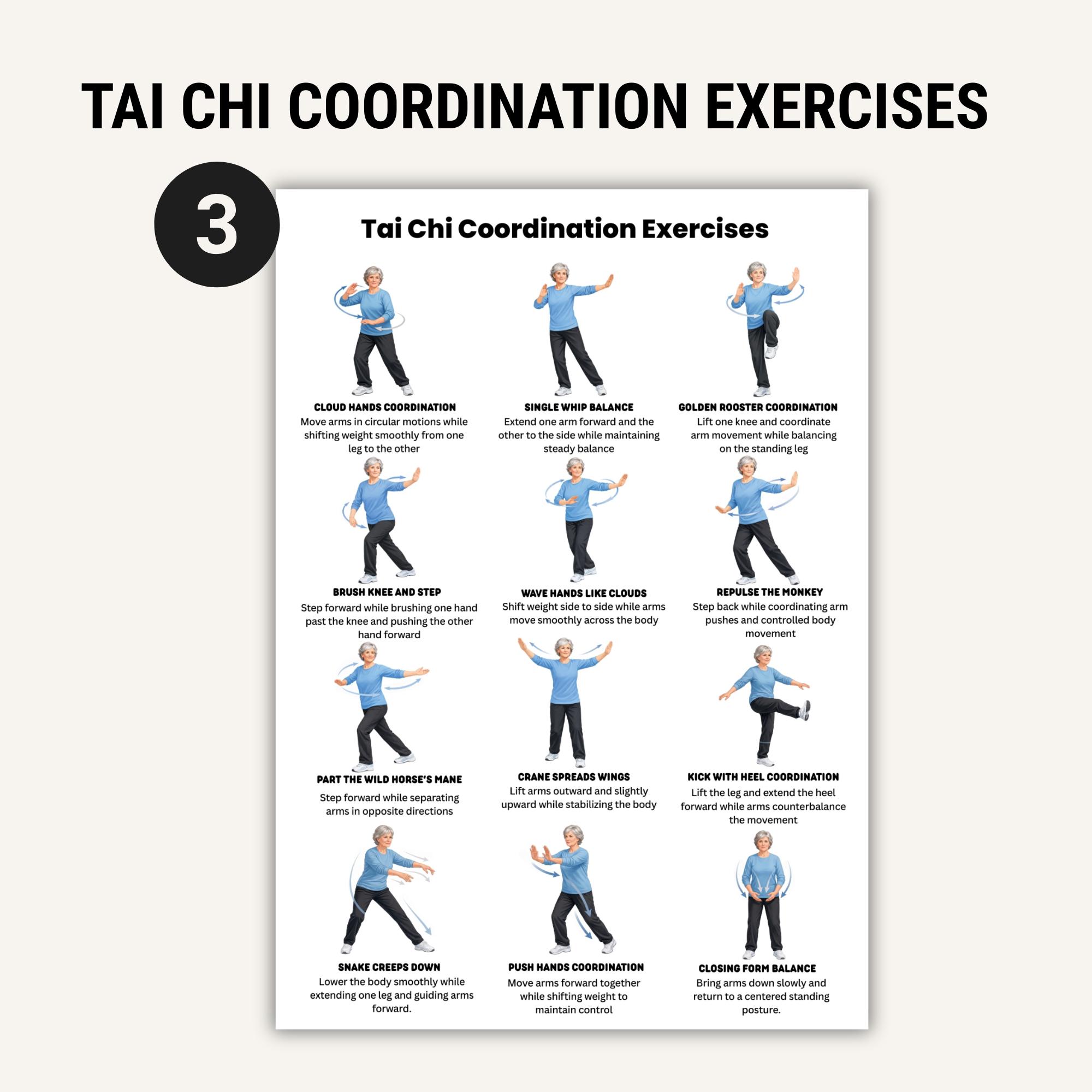 Tai Chi Movement Bundle Printable Charts, Tai Chi Slow Flow Routine ...