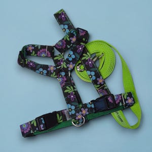 Puede incluir: Un arnés para perros negro con un estampado floral en morado, azul y verde. El arnés tiene correas ajustables y un cierre de hebilla. Una correa verde a juego está enrollada junto al arnés. El logotipo de la marca está en la esquina inferior derecha.