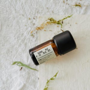 May include: A small, brown glass bottle with a black cap, labeled "SERENE FOREST." The label lists the top notes as Cedar White Camphor Leaf. The bottle is surrounded by greenery and rests on a white, textured surface.