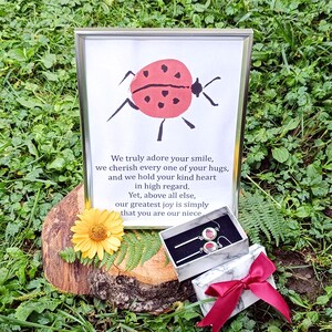 Pendientes personalizados de mariquita y conjunto de regalo con marco plateado, amuleto de la suerte para ella, cita personalizada de 15 x 20 cm, joyería de resina y acero inoxidable, nuevo trabajo