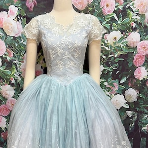 50s Blue Floral Embroidered Organza Dress Party Dress XS