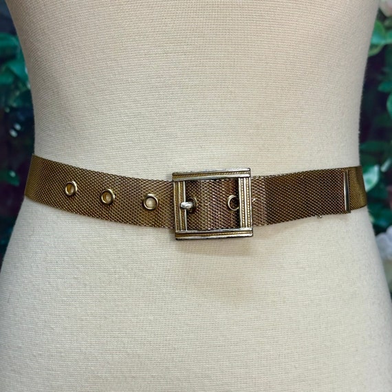 80s Gold Metal Fine Mesh Belt Woven - image 1