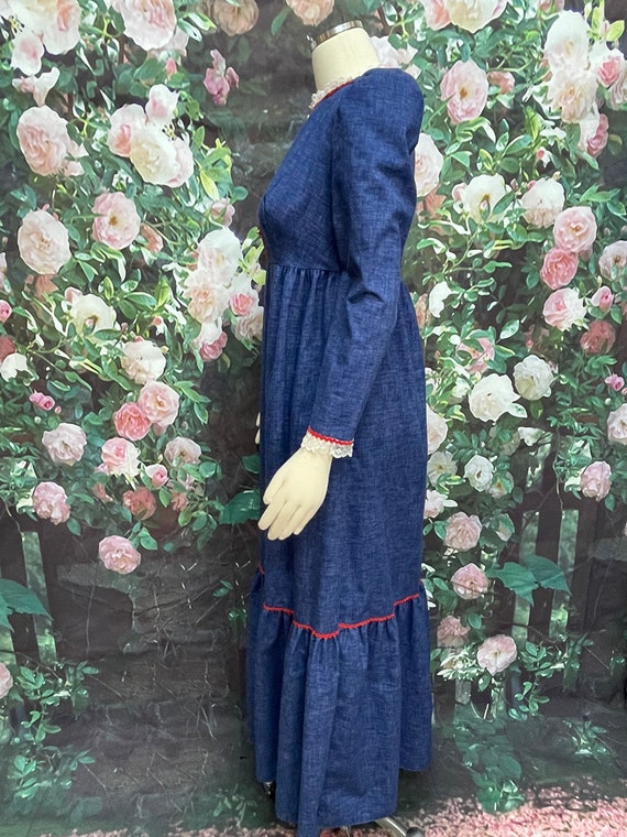 70s Blue Denim Prairie Maxi Dress Cottagecore - image 8