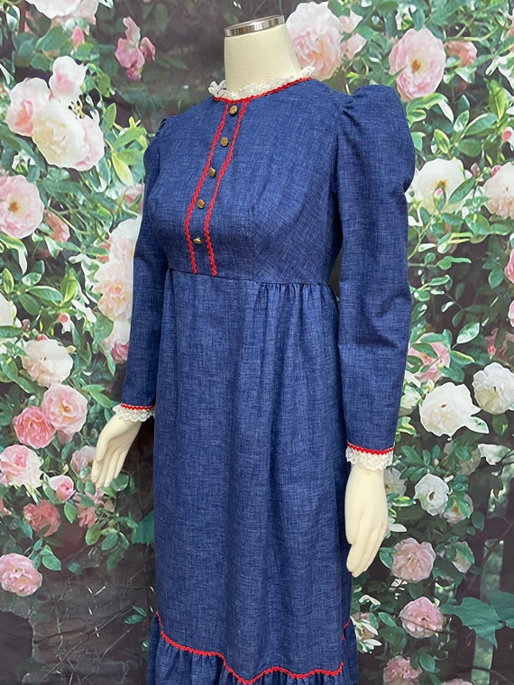 70s Blue Denim Prairie Maxi Dress Cottagecore - image 5