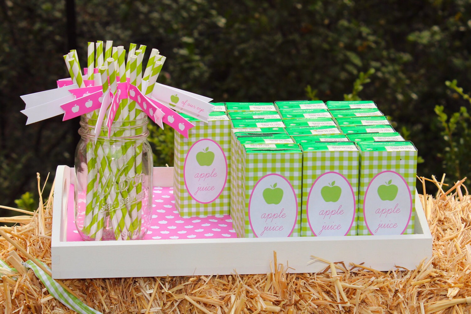 Instant Printable Juice Box Straw Flags and Apple Cirlces | Etsy