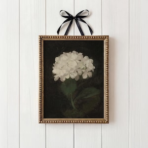 May include: A framed floral print featuring a white hydrangea against a dark background. The gold-toned frame has a beaded edge and is suspended by a black ribbon tied in a bow. The artwork is mounted on a white wooden surface.