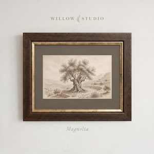 May include: A framed art print featuring a sepia-toned pencil drawing of an olive tree in a landscape. The artwork is encased in a dark brown wooden frame with a gold inner border and a gray mat. The text WILLOW STUDIO and Magnolia are visible.