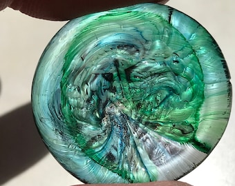 Glückspilz Wish Coin - Sammler handgefertigte Kunst Glasskulptur