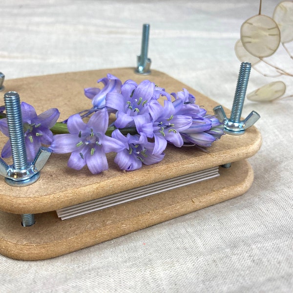 Mini flower press kit, plant press kit, flower pressing