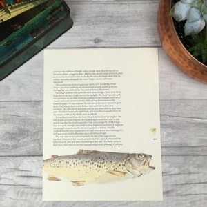 Vintage fish print - gift for angler - wildlife illustration - fishing gift