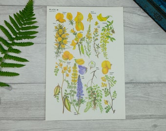 Yellow floral art poster - unframed poster print - 1970s flowers