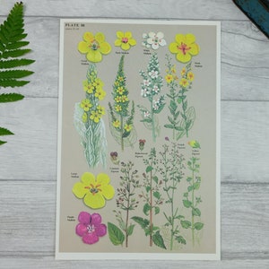 Yellow floral wall art print from 1970s, cottagecore decor, cottage core print
