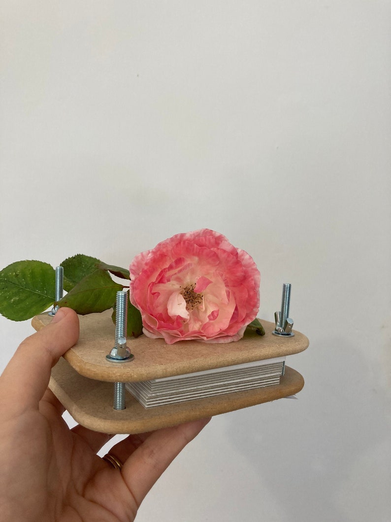 Mini flower press kit, plant press kit, flower pressing image 2