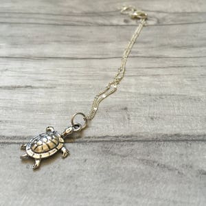 Puede incluir: Un collar con un colgante de tortuga de plata en una cadena de plata. La tortuga está mirando hacia el lado derecho de la imagen.