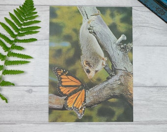 Vintage animal art print with butterfly