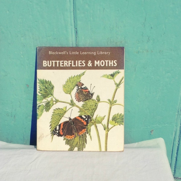 Butterflies and Moths vintage childrens book - Blackwell's Little Learning - Butterfly - Insect - Moth - Child book - Retro books - Etsy UK