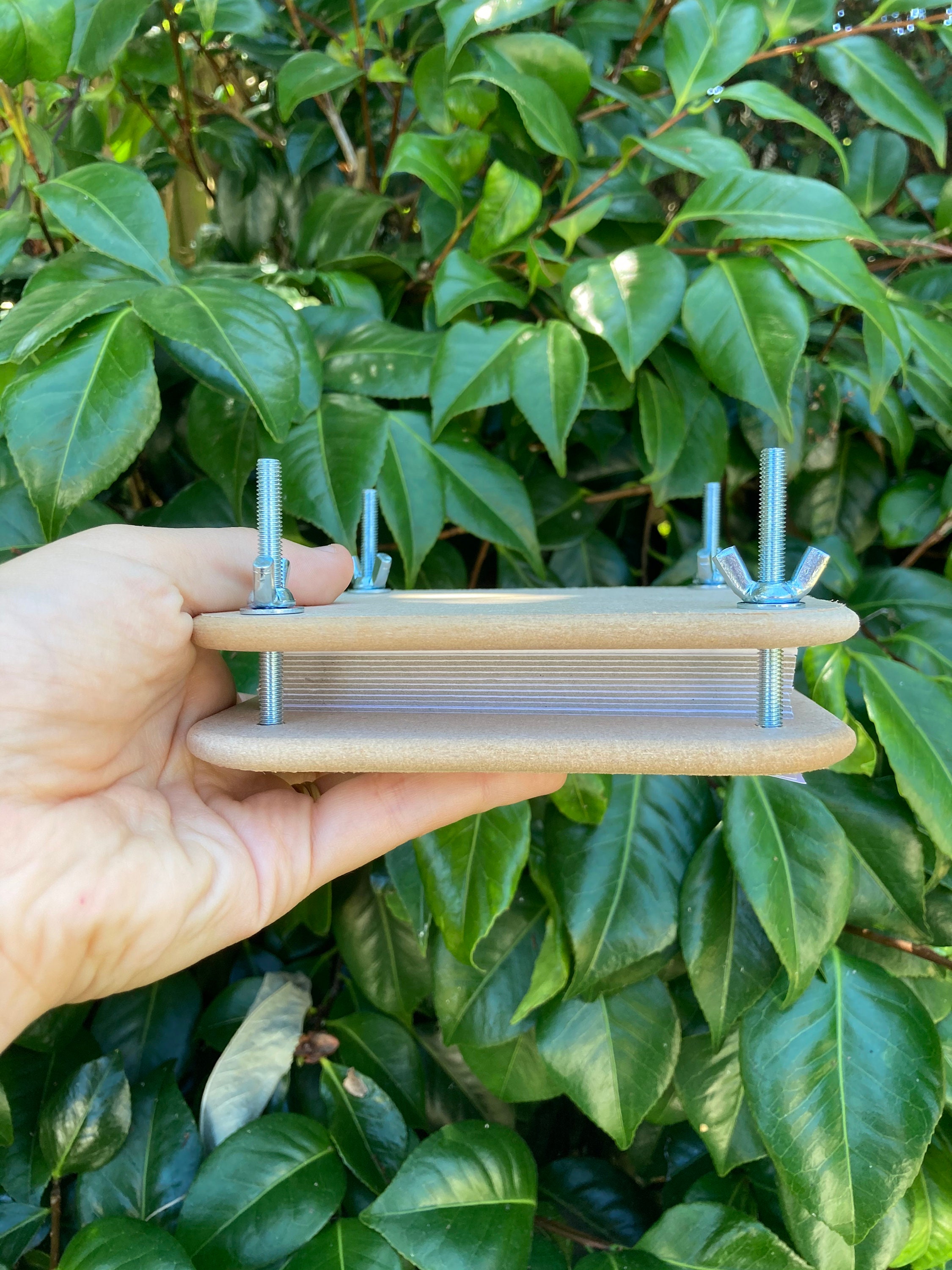 Mini Flower Press Kit Plant Press Kit Flower Pressing Etsy Australia