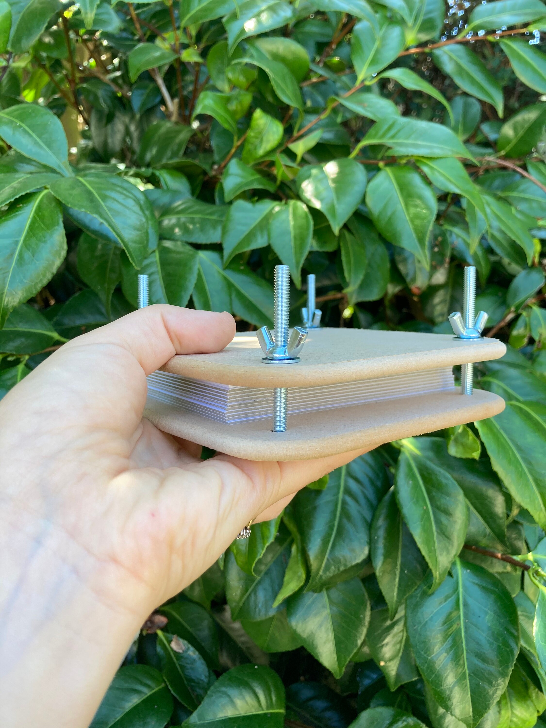 Mini Flower Press Kit Plant Press Kit Flower Pressing Etsy Australia