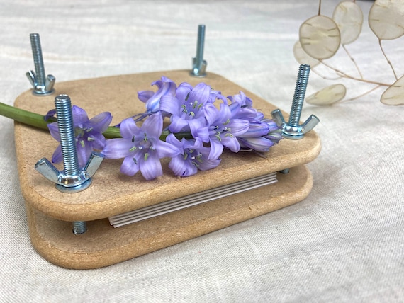 Mini Flower Press Kit, Plant Press Kit, Flower Pressing 