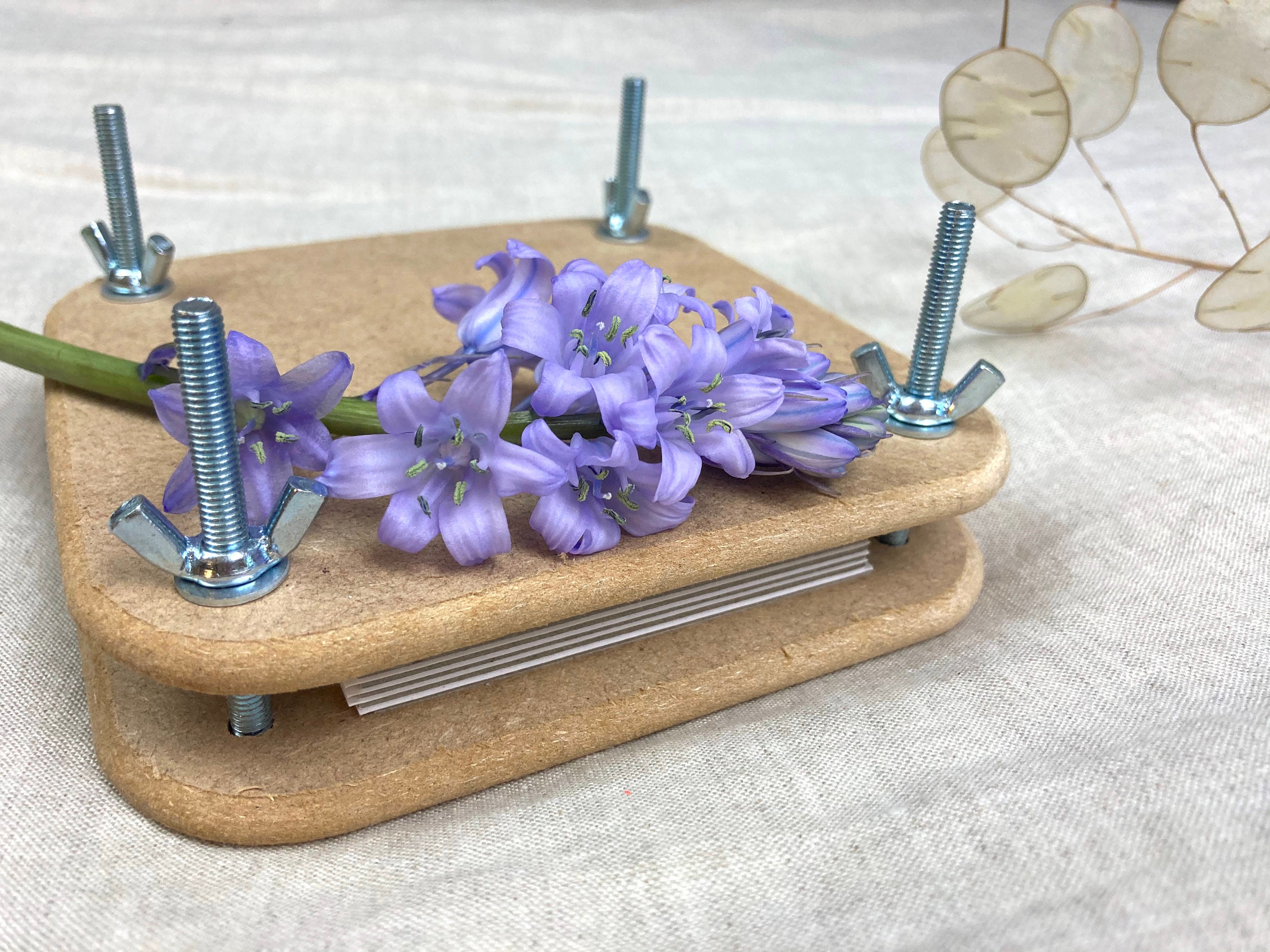Mini Flower Press Kit Plant Press Kit Flower Pressing Etsy