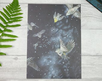 Vintage bird print with sky and stars - constellation print - bird migration