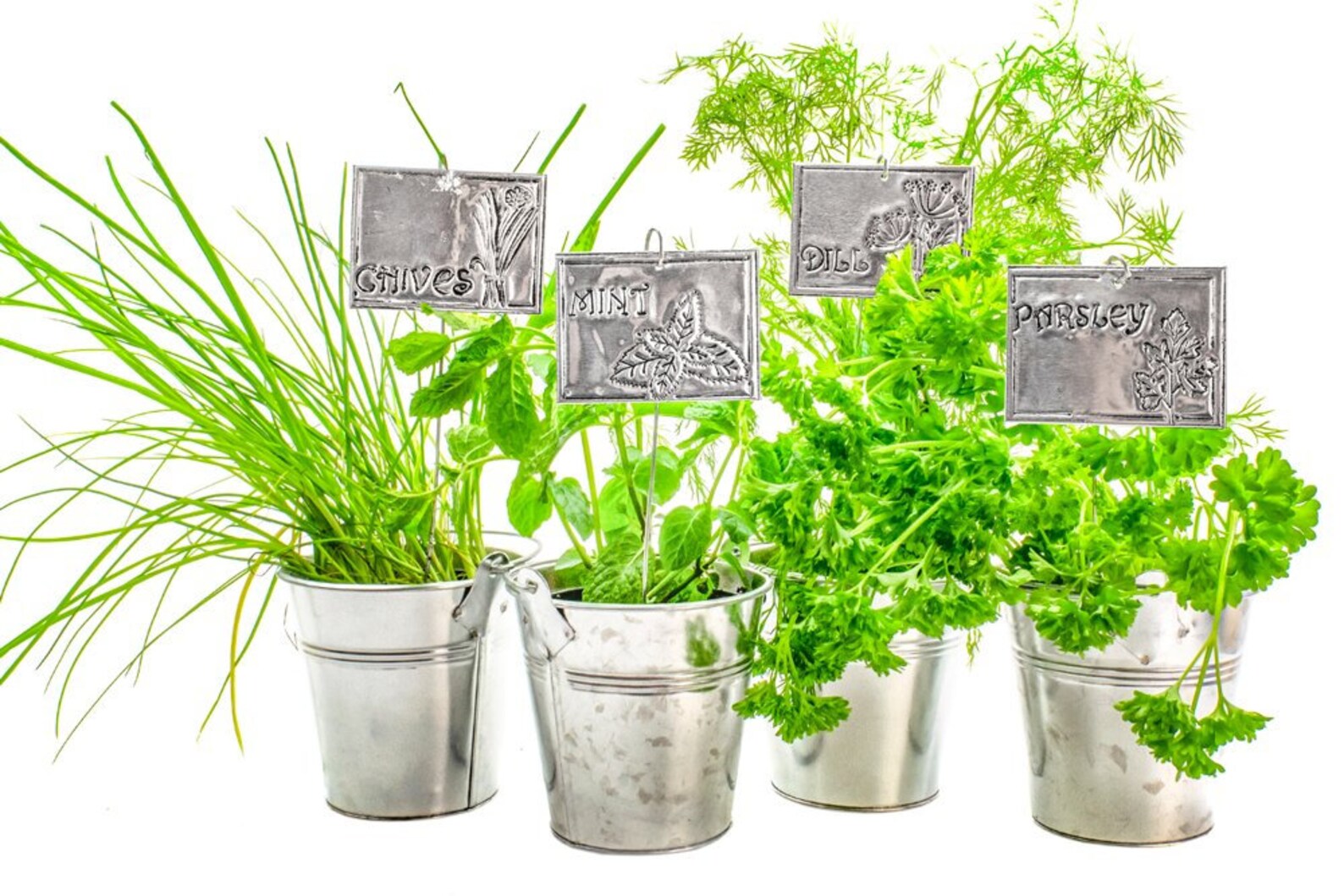 Garden Markers Kit Metal Plant Labels Craft Kit Metal Etsy UK