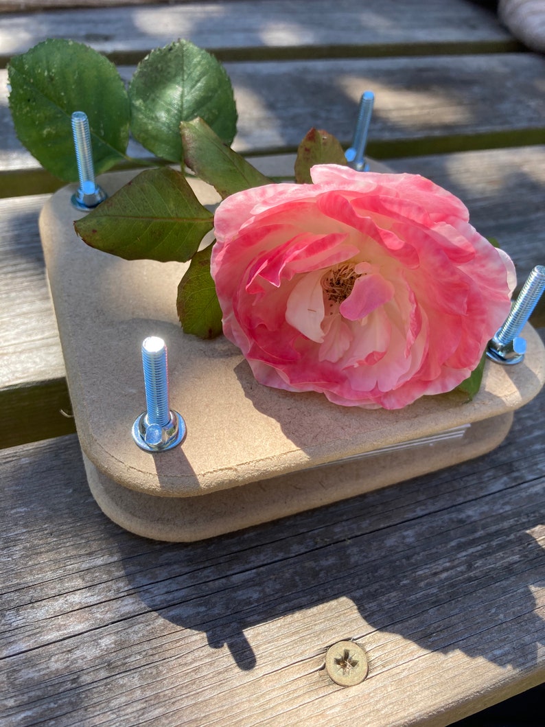 Mini flower press kit, plant press kit, flower pressing image 6