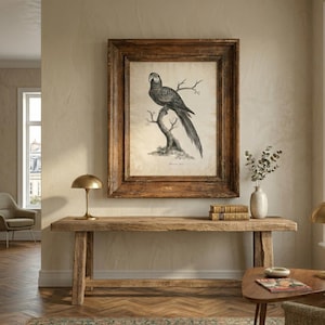 Vintage Parrot Sketch Art, Antique Macaw Etching Print, Tropical Bird Illustration (Digital Print)