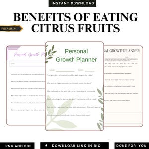 2026 Monthly Personal Growth Planner Evolution Roadmap PDF PNG Personal Identity Audit Life System Success Blueprint Digital Download Bundle