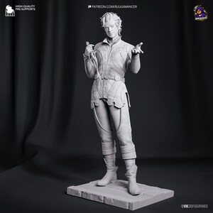 Astarion — Baldur's Gate 3 | 1/8 1/6 Scale Resin Figure | Unpainted or Hand-Painted | 3D Printed Fan Art | Collector Gift image 6