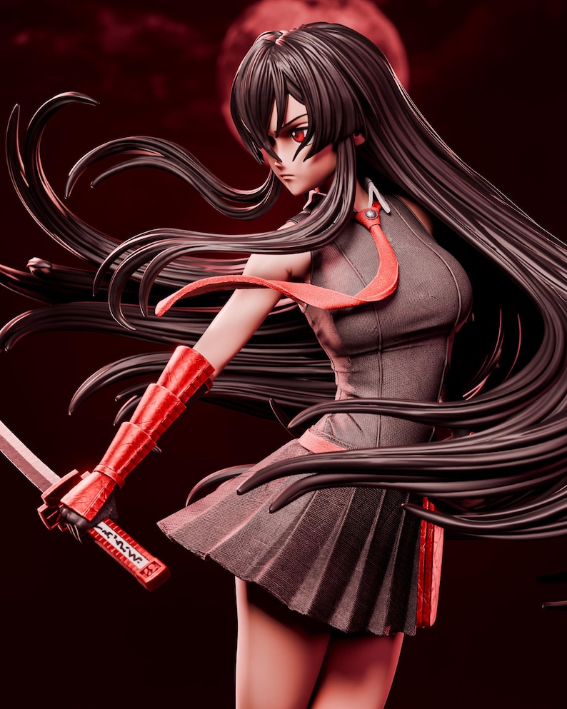 Akame Resin Figure – 1/8 1/6 Scale 3D Printed Fan Art Garage Kit | Collector Gift imagen 6