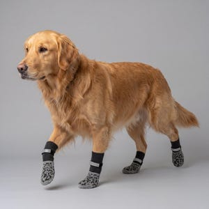 May include: A golden retriever dog wearing four gray and black dog boots with a leopard print pattern. The boots have a black strap with a reflective strip. The dog is standing on a gray background.