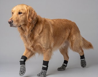 Anti-Rutsch-Hundeschuhe, atmungsaktiver Pfotenschutz, Indoor Outdoor Pet Boots