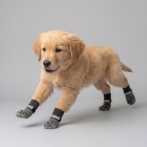 May include: A golden retriever puppy wearing gray and black leopard print dog booties with reflective bands. The puppy is in mid-stride against a light gray background.