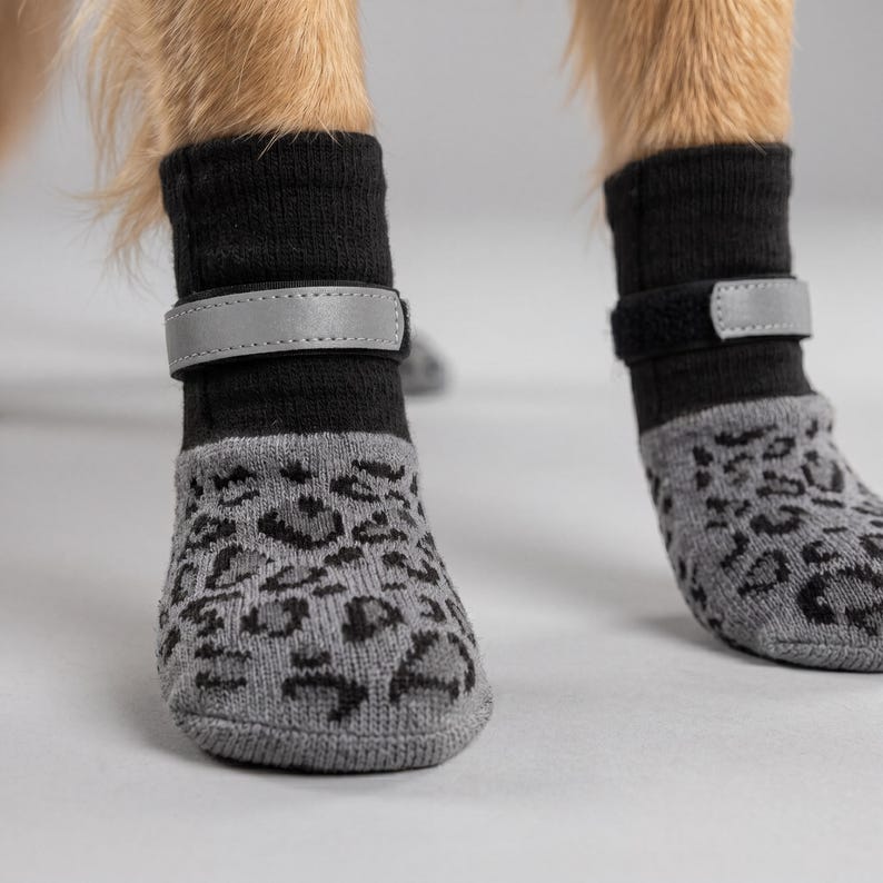 May include: Close-up of a dog wearing gray and black dog socks. The socks have a leopard print design on the foot and a black cuff with a reflective gray strap. The dog's fur is visible in the background.