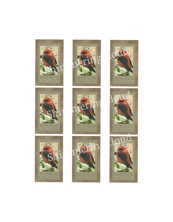 Digital Print Bird Tags Red Robin Tags Gift Tags Birds Etsy