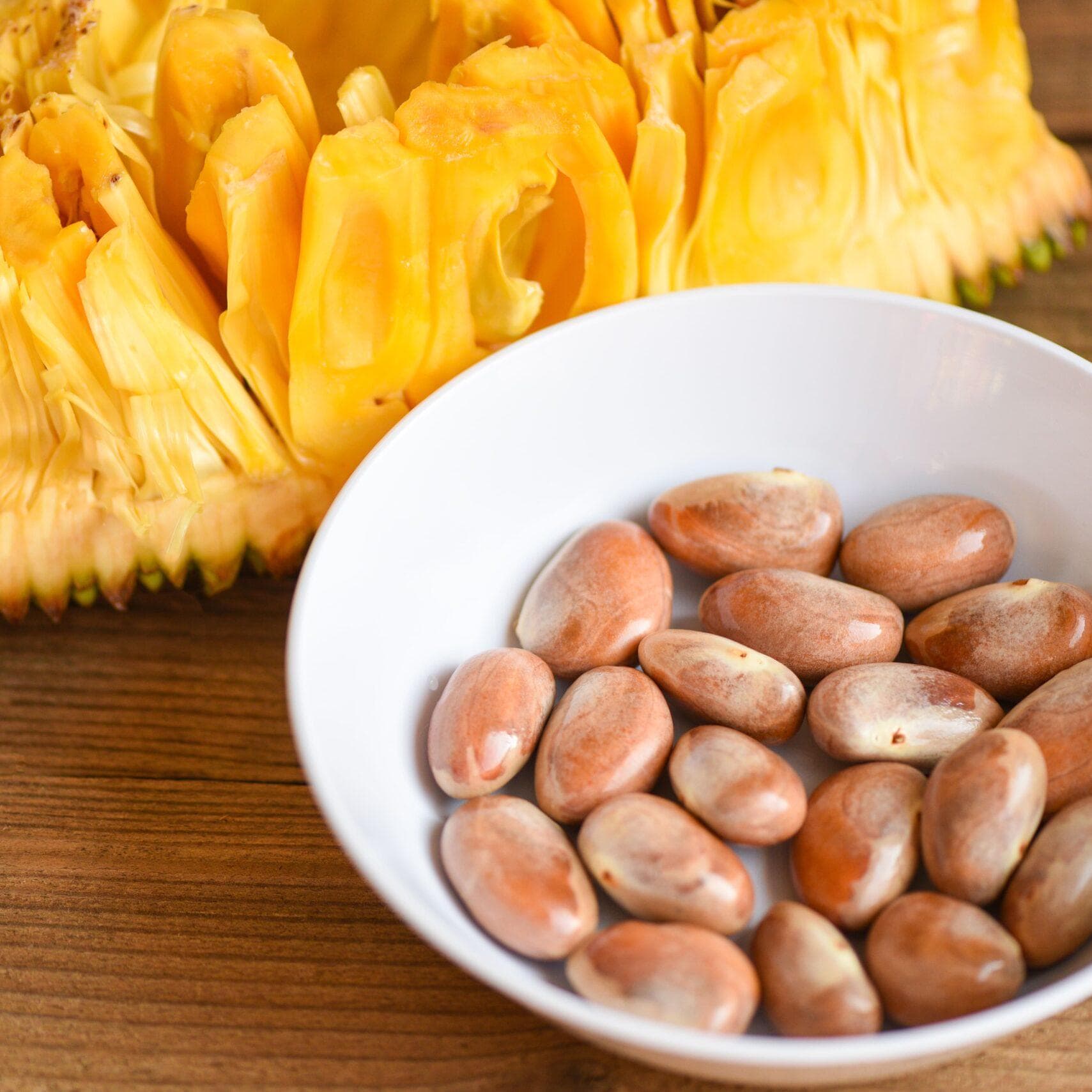 Jackfruit seeds - Etsy 日本