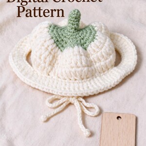 Pumpkin Hat for Cats Crochet Pattern, Pet Costume, Halloween DIY Tutorial