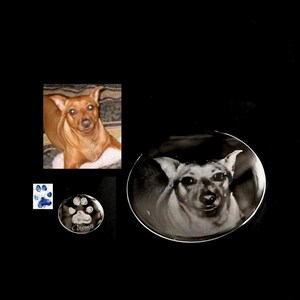 Op de afbeelding: Een verzameling items met een huisdierthema, waaronder een kleurenfoto van een bruine hond, een pootafdrukontwerp en een helder, cirkelvormig ornament met een afbeelding van een hond en de naam "Cosmo" gegraveerd.