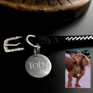 Personalized Pet ID Name Tag Small Dog or Cat Stainless Steel Engraved Dog Tag Collar ID Name Tag with Phone Number All sizes Same Price