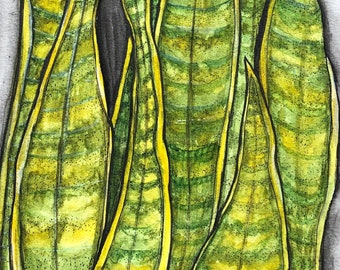 Snake Plant Original Watercolor Painting 9"x12"