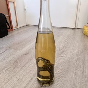 Può includere: Una bottiglia di vetro trasparente riempita con un liquido giallastro e un serpente arrotolato. La bottiglia ha un tappo di sughero ed è su una superficie di legno chiaro. Il serpente è scuro e decorato.