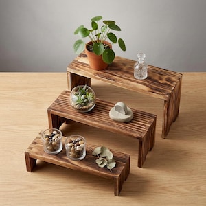 Puede incluir: Tres elevadores de exhibición de madera con tinte oscuro. Los elevadores están dispuestos en forma escalonada, cada uno con elementos decorativos: una planta en maceta, un terrario de vidrio, pequeños frascos de vidrio con piedras y una pequeña piedra decorativa.