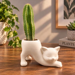 May include: A white ceramic planter shaped like a cat in a stretching pose. The cat has a smooth matte finish, closed eyes, and pointed ears. A tall, green, ribbed cactus is planted in the opening on the cat's back, which serves as the container.