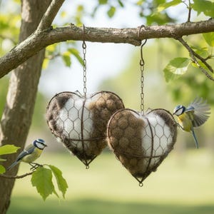 May include: Two heart-shaped bird feeders suspended from a tree branch. The feeders feature wire mesh construction and are filled with brown and white material. Small blue and yellow birds are in the vicinity.