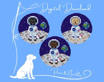 Astronaut Lab Needlepoint Ornament Chart - Digital Download