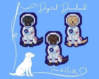 Astronaut Lab Needlepoint Tag Chart - Digital Download